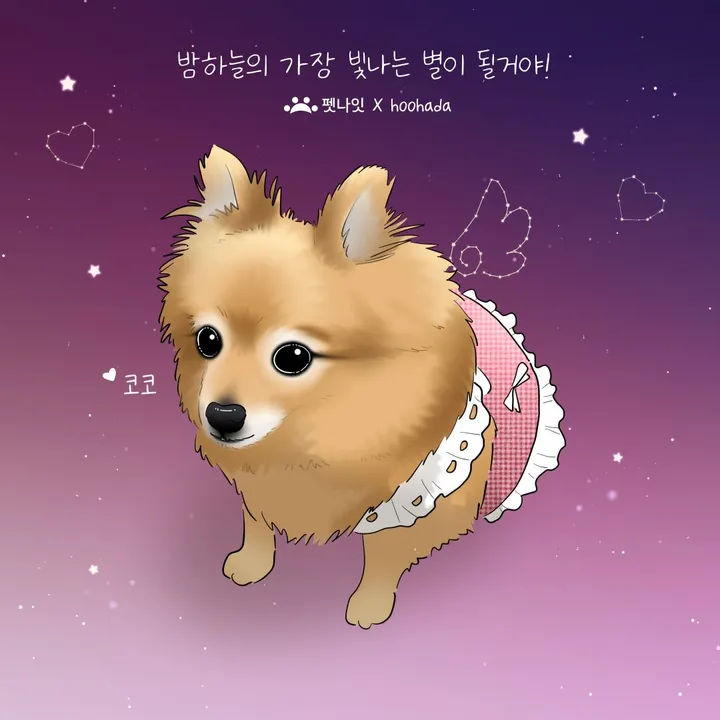 코코 보호자 후기 이미지