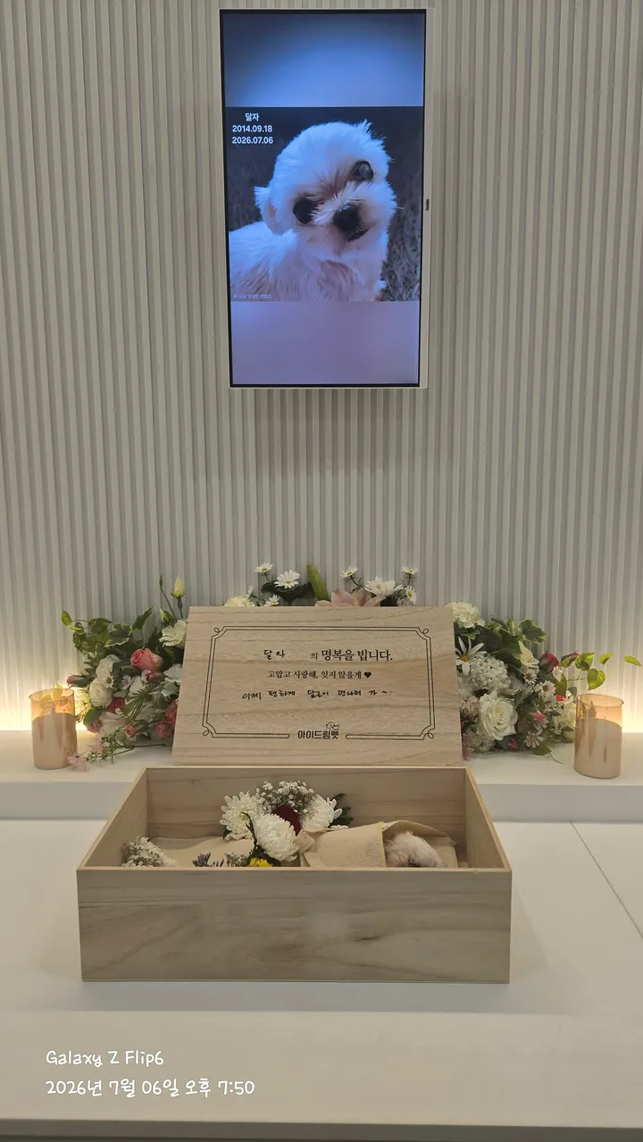달자 보호자 후기 이미지