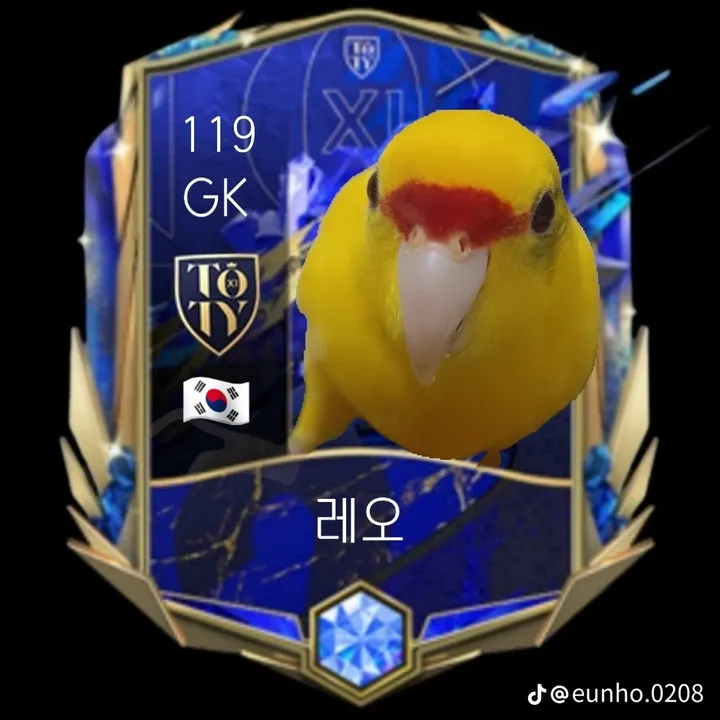 레오 보호자 후기 이미지