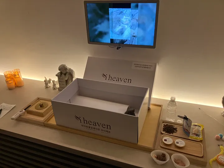 반다비 보호자 후기 이미지