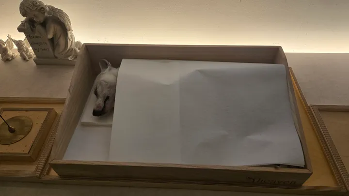 밀크 보호자 후기 이미지