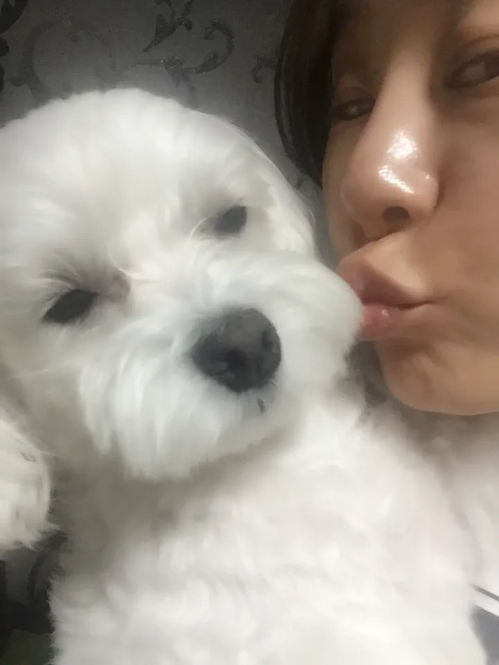 순이 보호자 후기 이미지