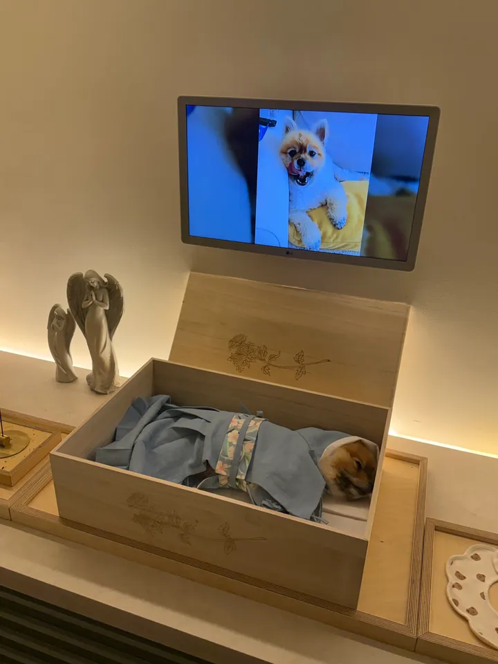 김곰 보호자 후기 이미지