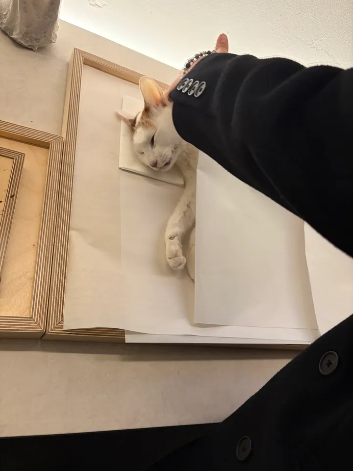달이 보호자 후기 이미지