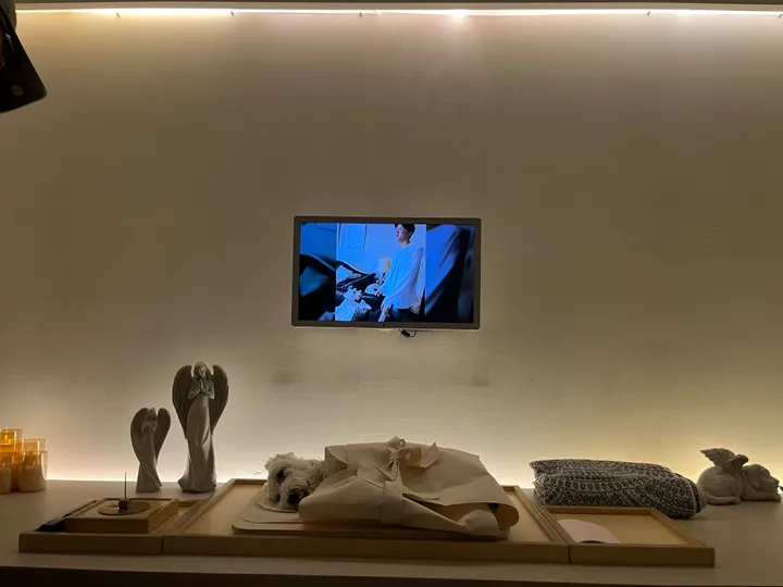 하루 보호자 후기 이미지