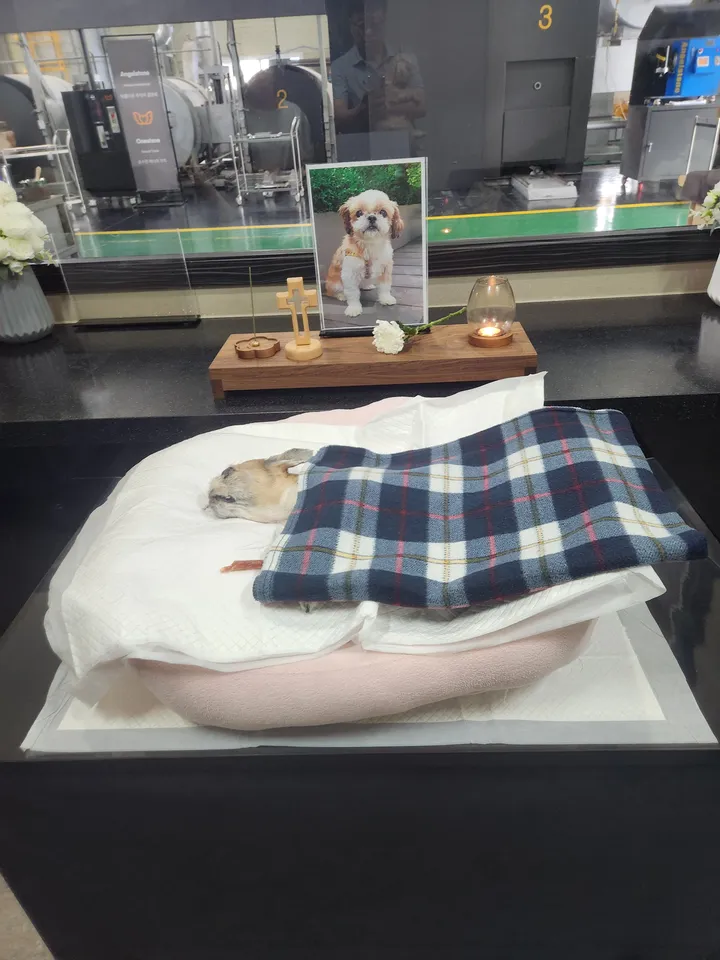 이덕만 보호자 후기 이미지