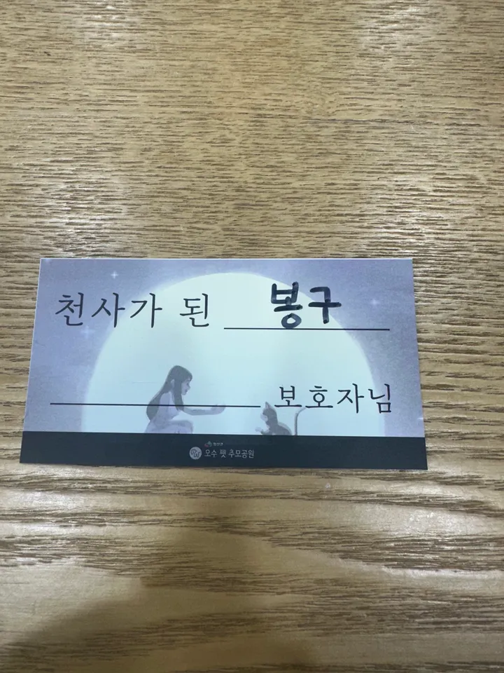봉구 보호자 후기 이미지