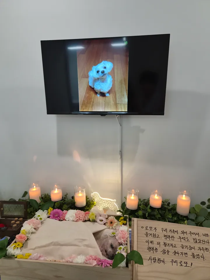 로또 보호자 후기 이미지