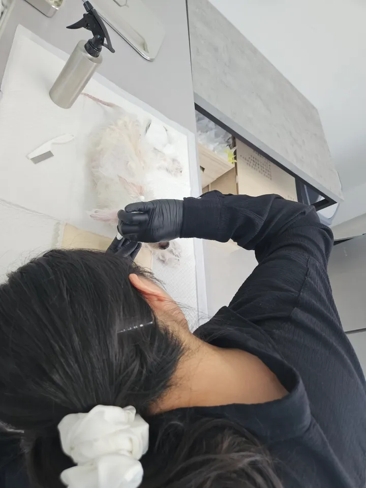 배콩 보호자 후기 이미지
