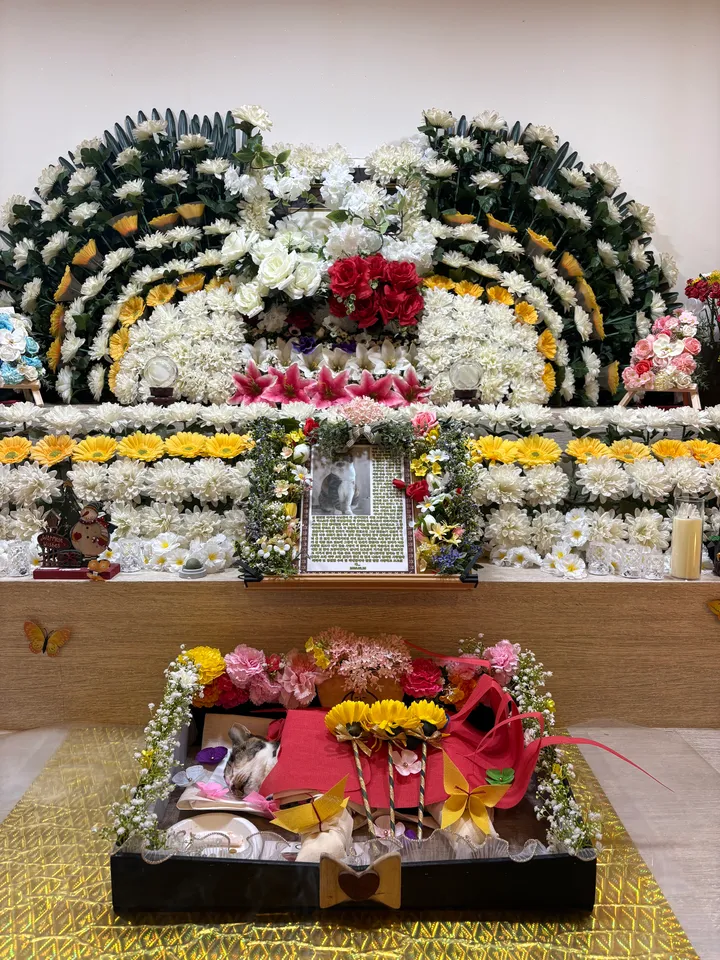 미미 보호자 후기 이미지